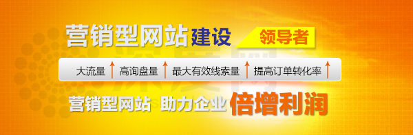 深圳外貿(mào)營銷型網(wǎng)站建設(shè)領(lǐng)導(dǎo)者